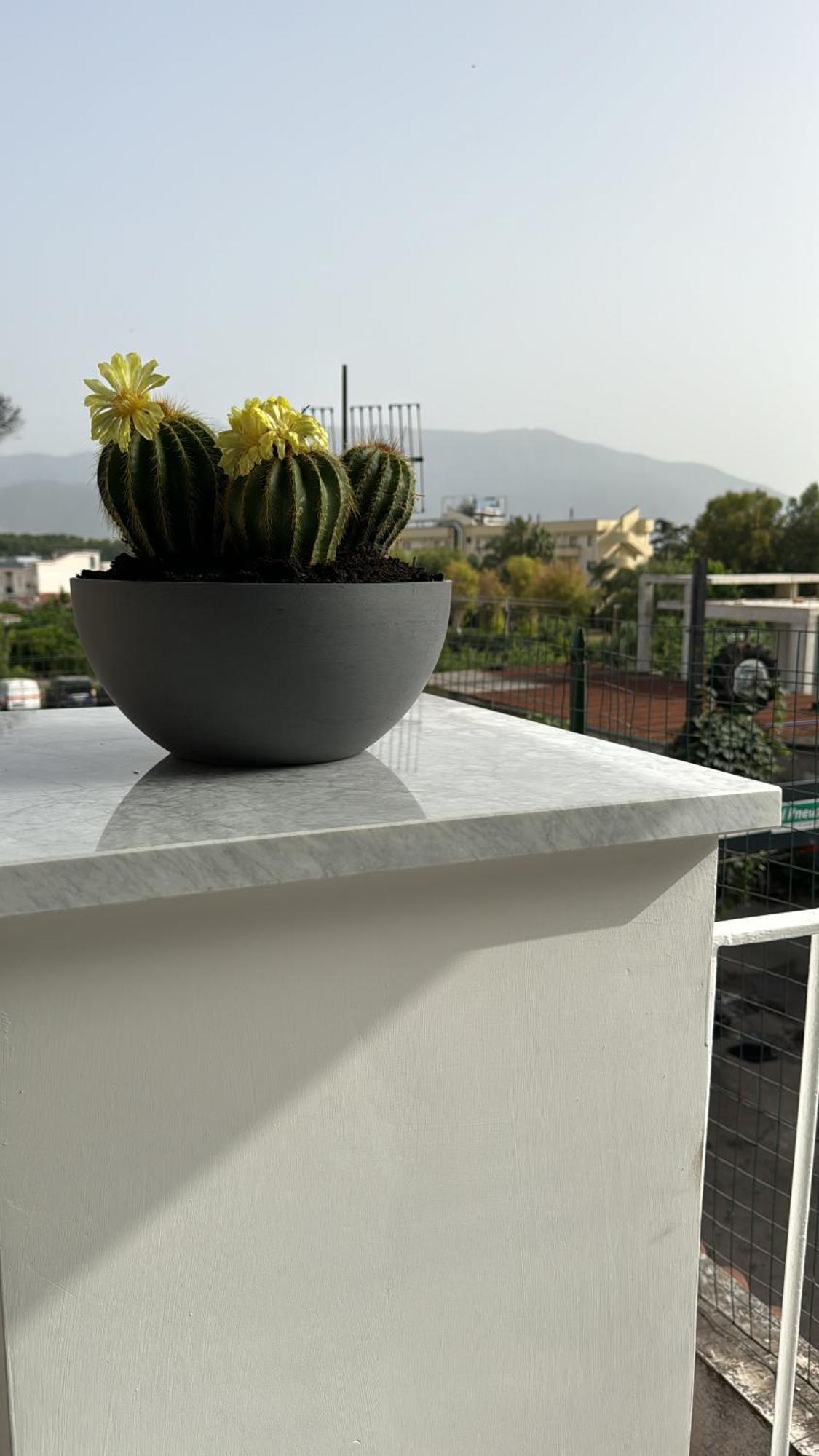 Vesuvius Pompeii Bed & Breakfast Dış mekan fotoğraf